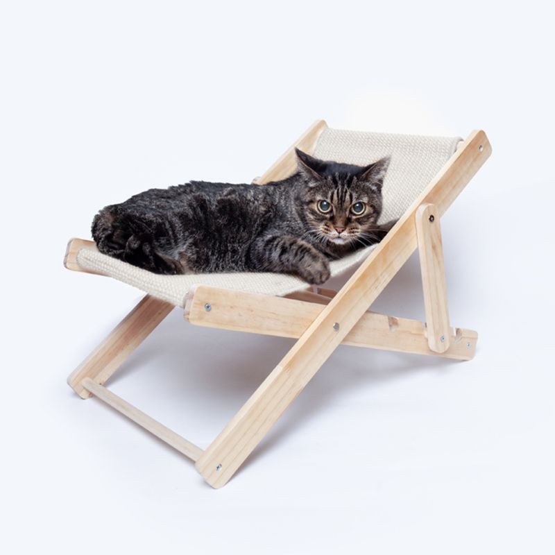Cadeira para Animal Estimação Diny