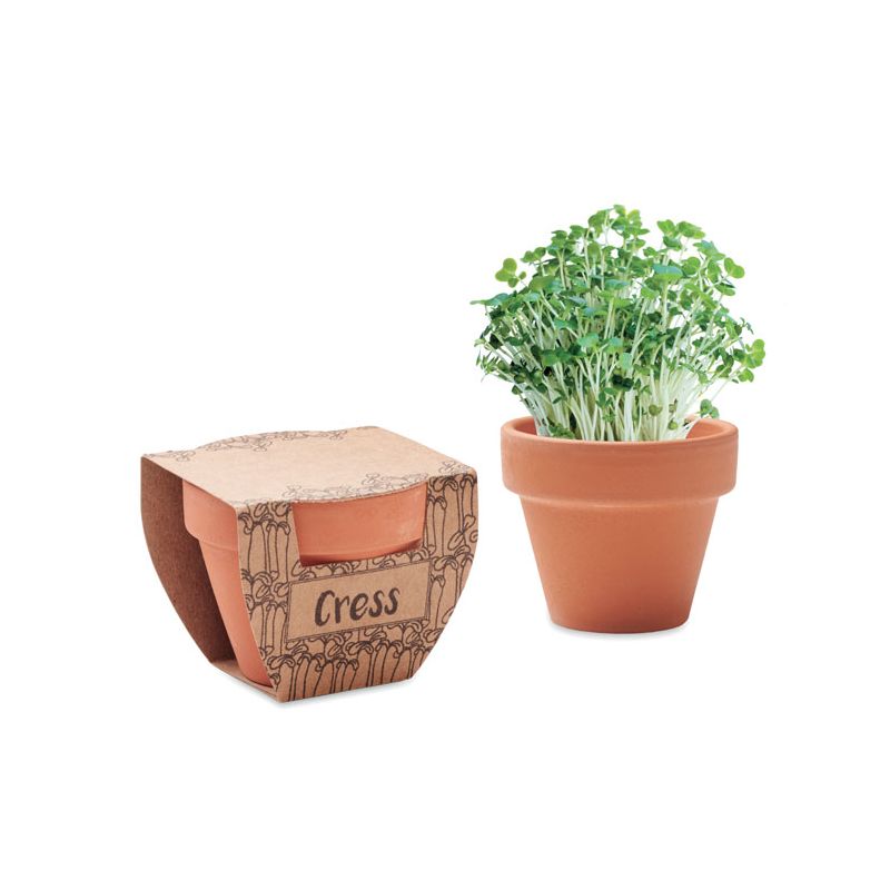 Sementes de agrião em vaso