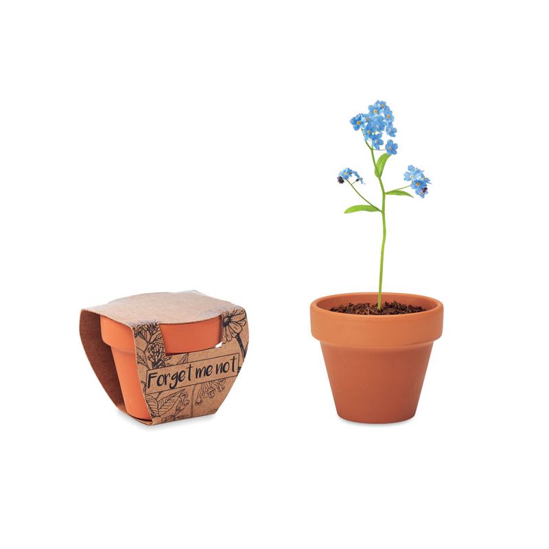 Vaso terracota 'miosótis'