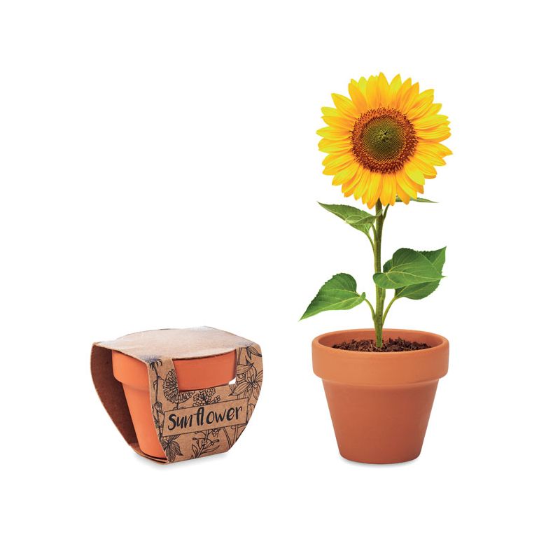 Vaso em terracota 'girassol'