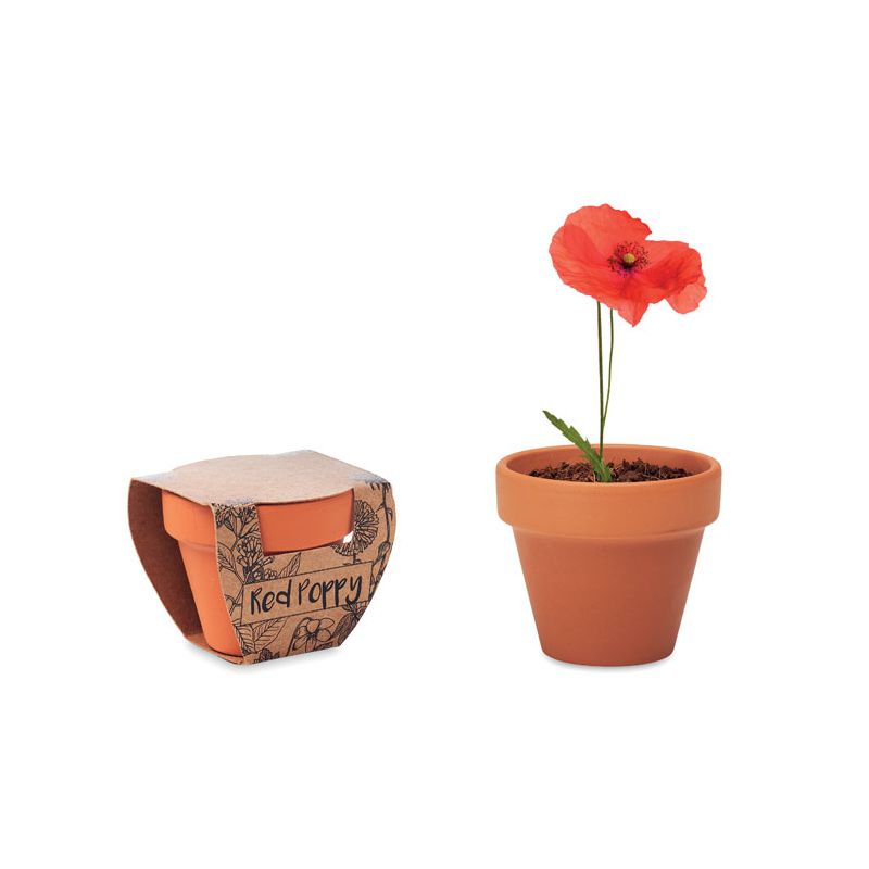 Vaso em terracota 'papoila'