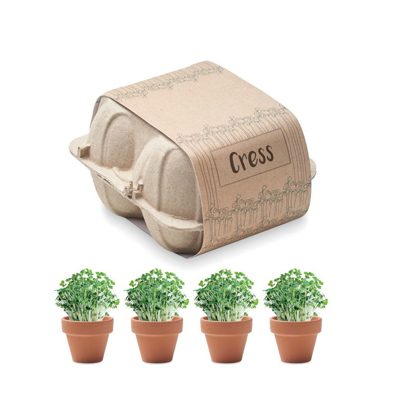 Kit de cultivo em caixa de ovo