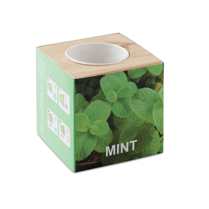 Porta sementes Menta