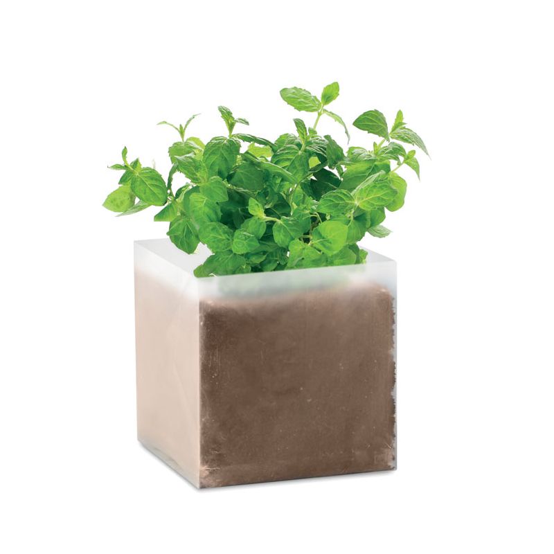 Composto sementes Menta