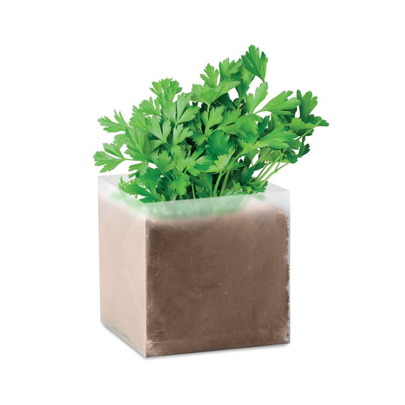 Composto sementes Salsa